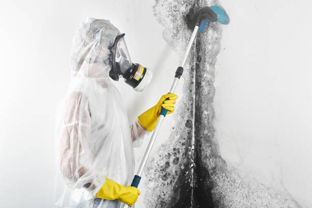 Best Indoor Air Quality Assessment  in Shelby, OH