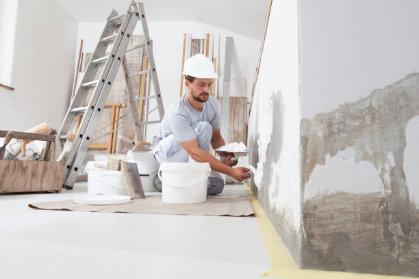 Best Mold Documentation for Insurance Claims  in Shelby, OH