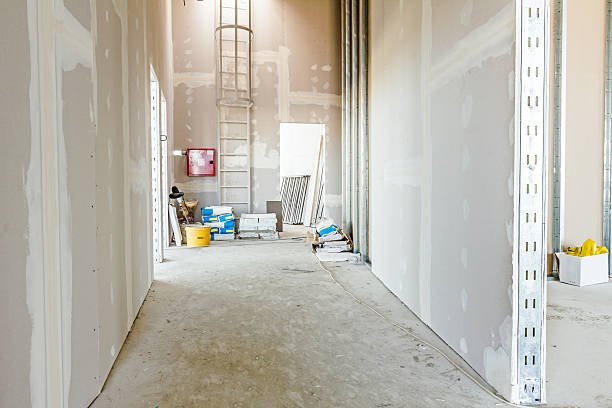 Best Mold Removal for HVAC Installations  in Shelby, OH