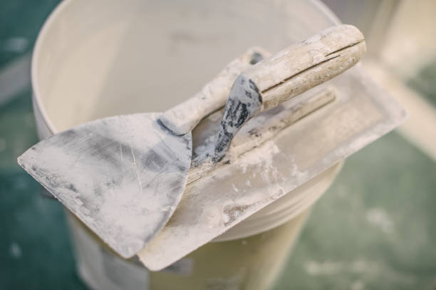 Best Commercial Mold Inspection  in Shelby, OH