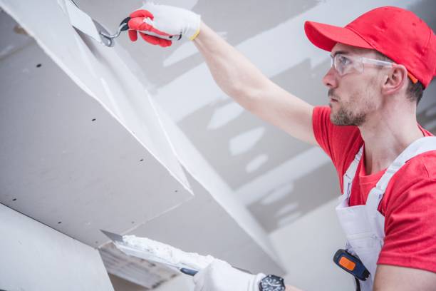 Best Attic Mold Removal  in Shelby, OH